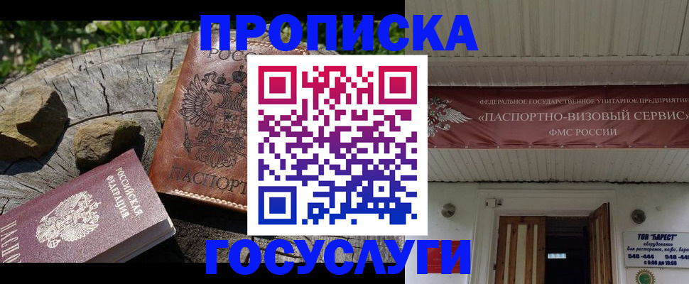 прописка для школы в Волосово